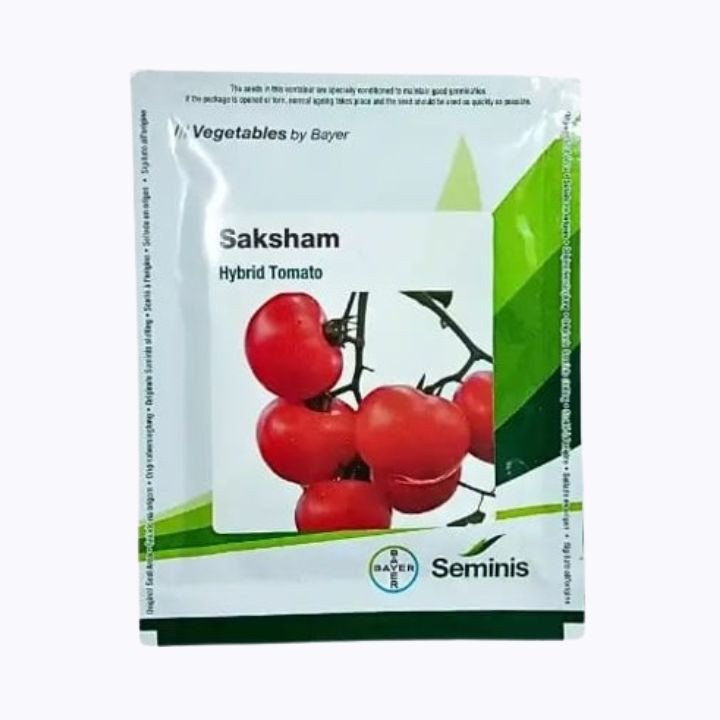 Seminis Saksham Hybrid Tomato Seeds